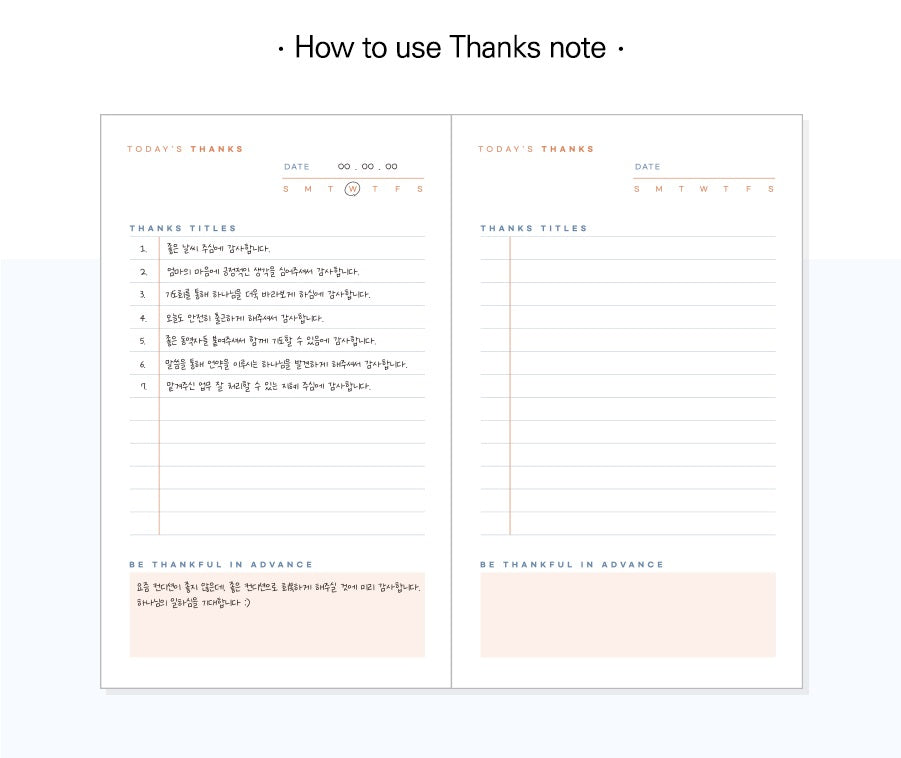 GRACEBELL Notebooks - Fill in the bible notes (Set of 3)